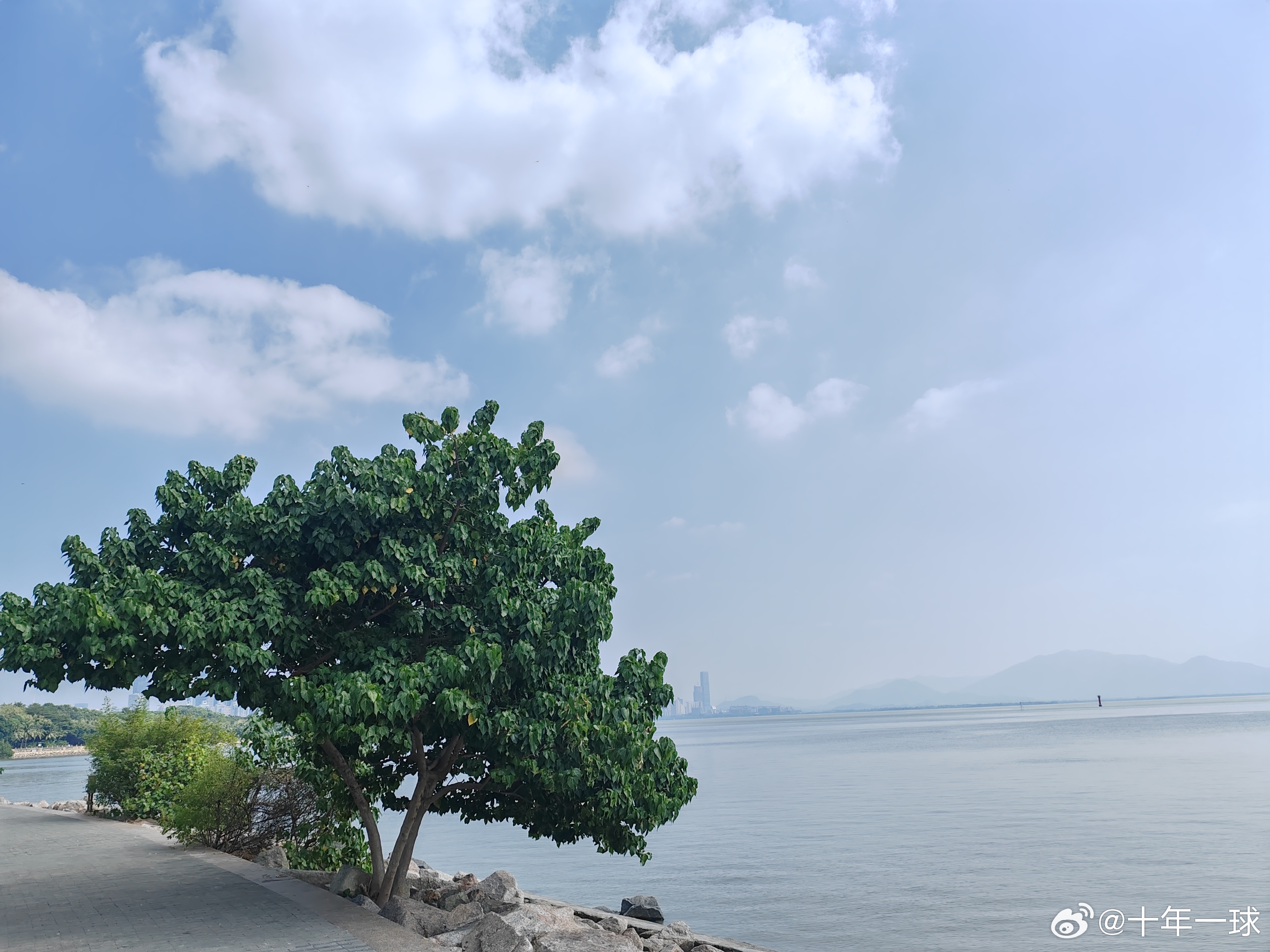 图书馆 第309页