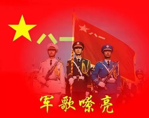 文化馆 第306页