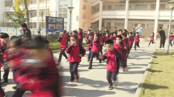 小布你的最新，任务完成与技能学习详细步骤指南