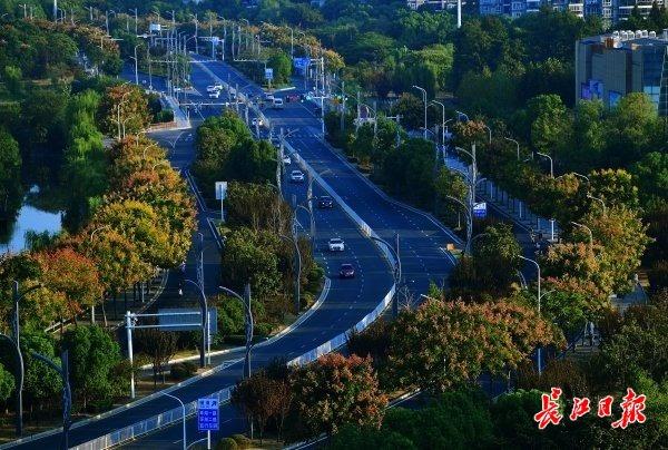 图书馆 第274页