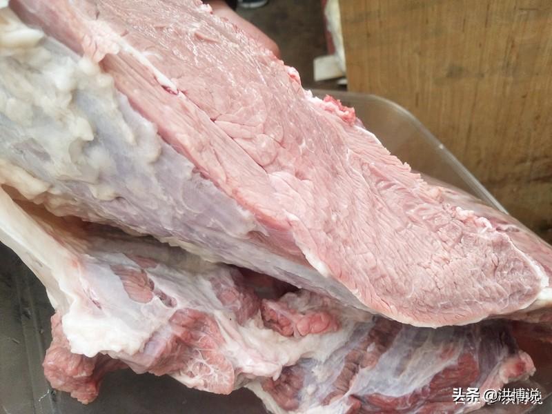 文化馆 第228页