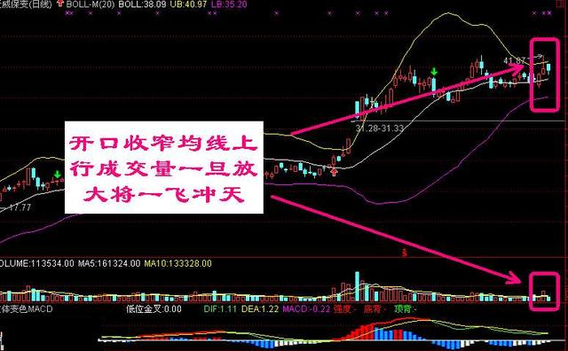 图书馆 第223页