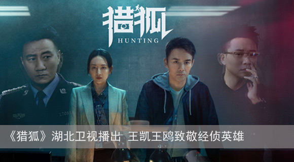 热门电视剧最新动态，深度探讨与剧集分析
