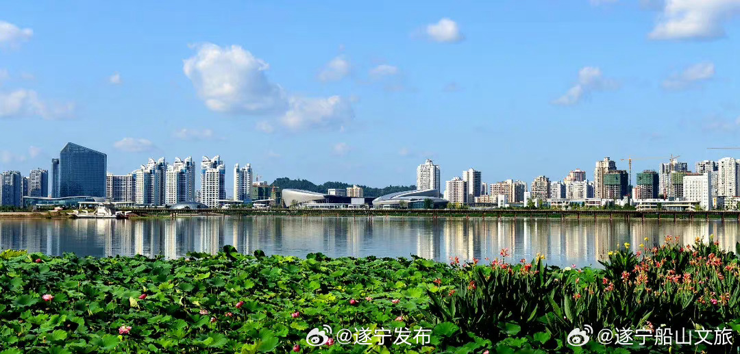 文化馆 第147页