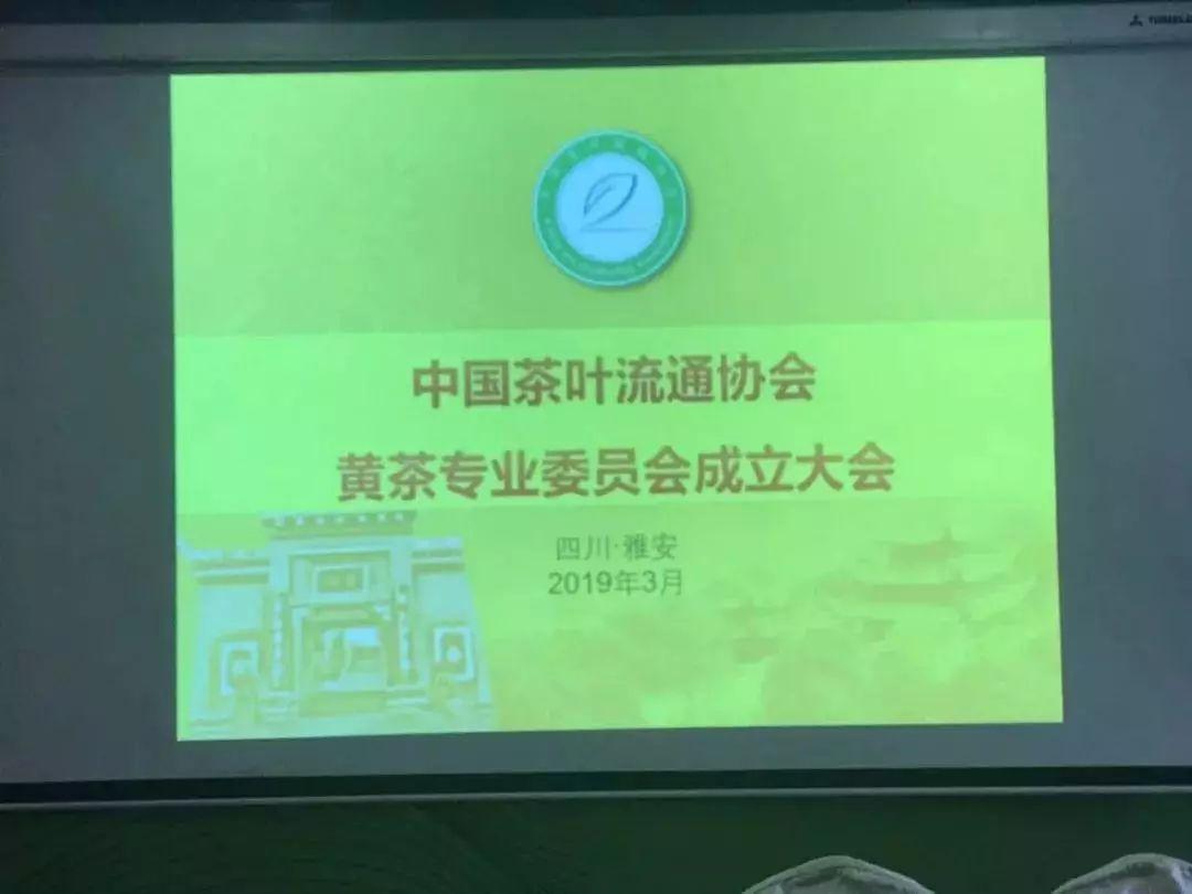 清茗学院校园生活大揭秘，最新动态一网打尽！