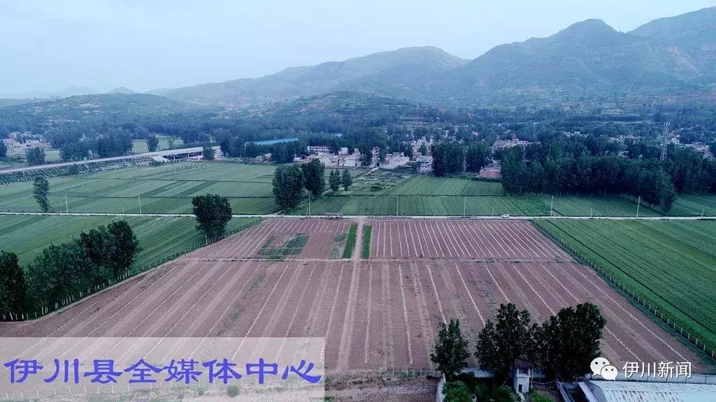 洛阳伊川新闻快报，最新消息汇总