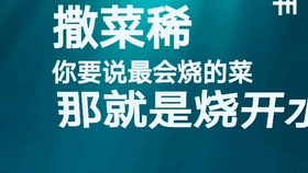 洋浦凯森物流最新招聘启事公告