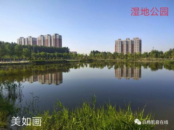 辛集湿地公园最新消息,辛集湿地公园最新消息💖🌿绿意盎然的新篇章