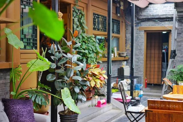 小巷深处的隐藏特色小店，最新np文探秘