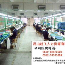 东莞临时工最新招聘，时代背景下的临时就业变迁